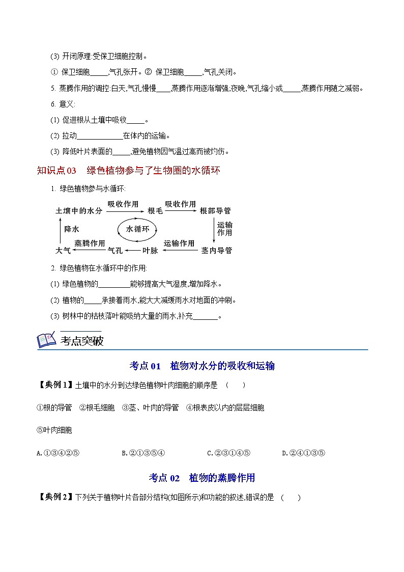 七年级上学期生物考点突然与提分——绿色植物与生物圈的水循环练习题（含答案）第2页