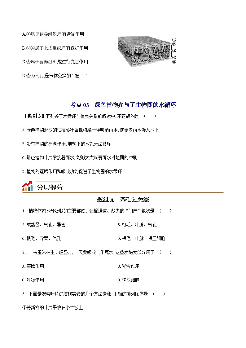 七年级上学期生物考点突然与提分——绿色植物与生物圈的水循环练习题（含答案）第3页