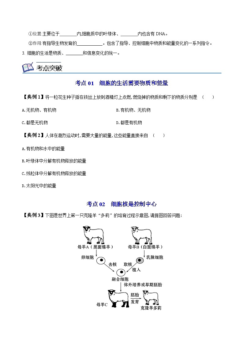 七年级上学期生物考点突然与提分——细胞的生活练习题（含答案）第2页
