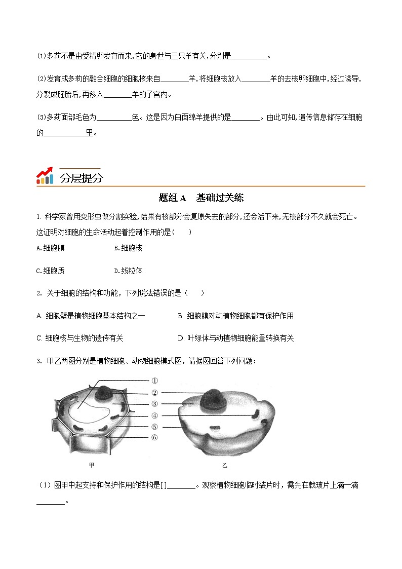 七年级上学期生物考点突然与提分——细胞的生活练习题（含答案）第3页