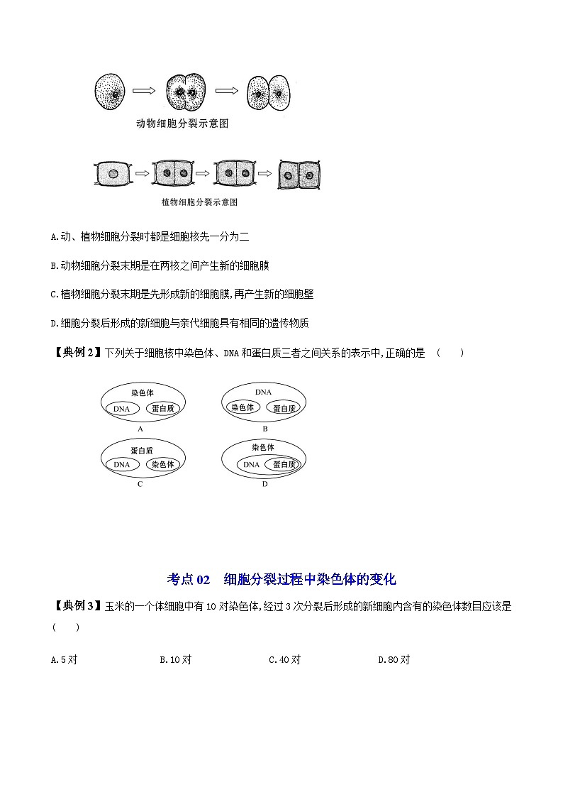 七年级上学期生物考点突然与提分——细胞通过分裂产生新细胞练习题（含答案）第2页