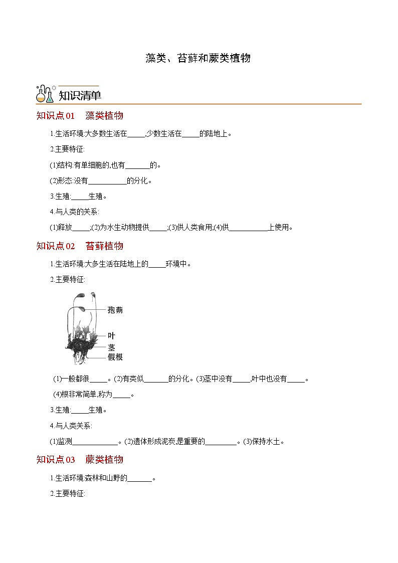 七年级上学期生物考点突然与提分——藻类、苔藓和蕨类植物练习题（含答案 ）第1页