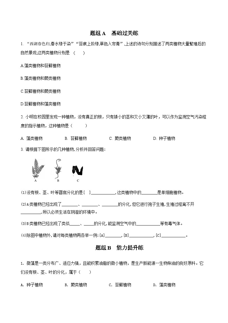 七年级上学期生物考点突然与提分——藻类、苔藓和蕨类植物练习题（含答案 ）第3页