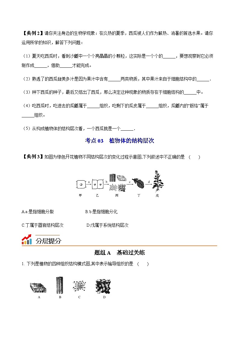 七年级上学期生物考点突然与提分——植物体的结构层次练习题（含答案）第2页