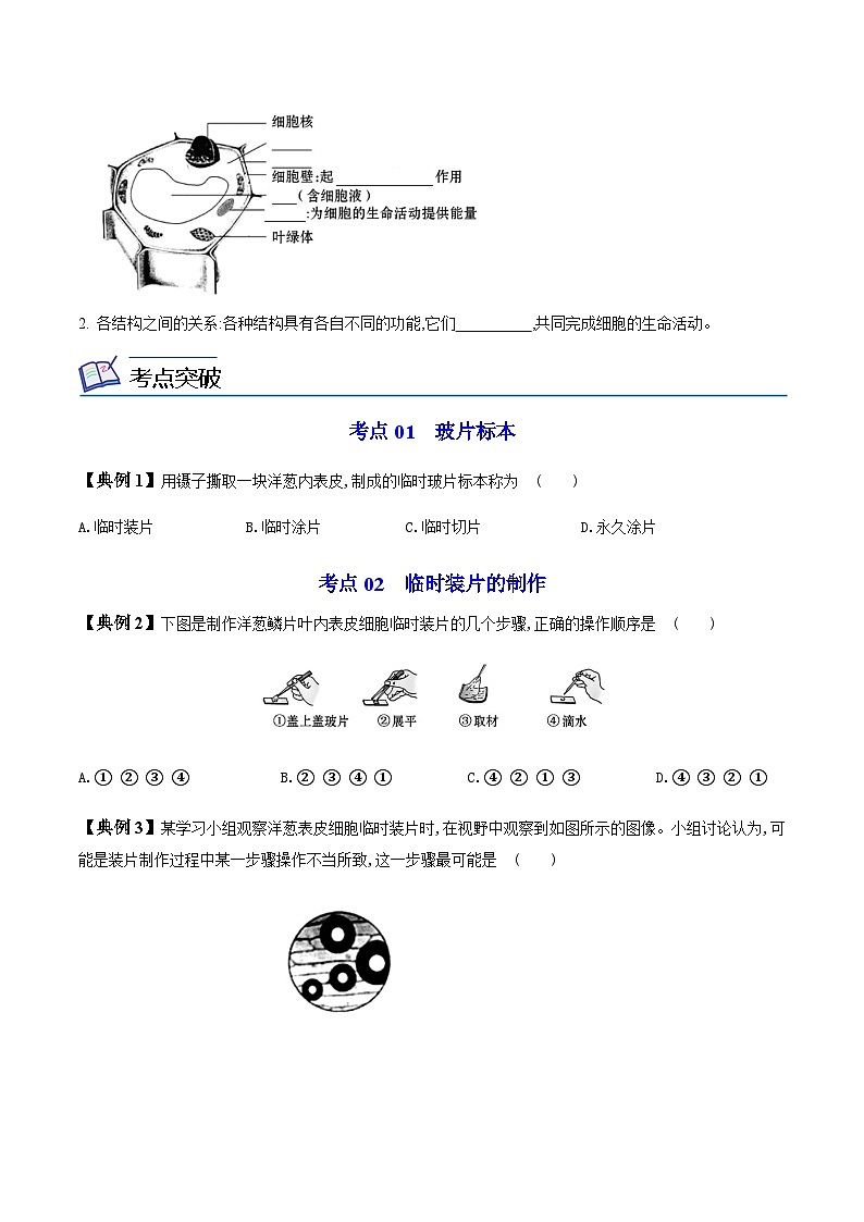 七年级上学期生物考点突然与提分——植物细胞练习题（含答案）第2页