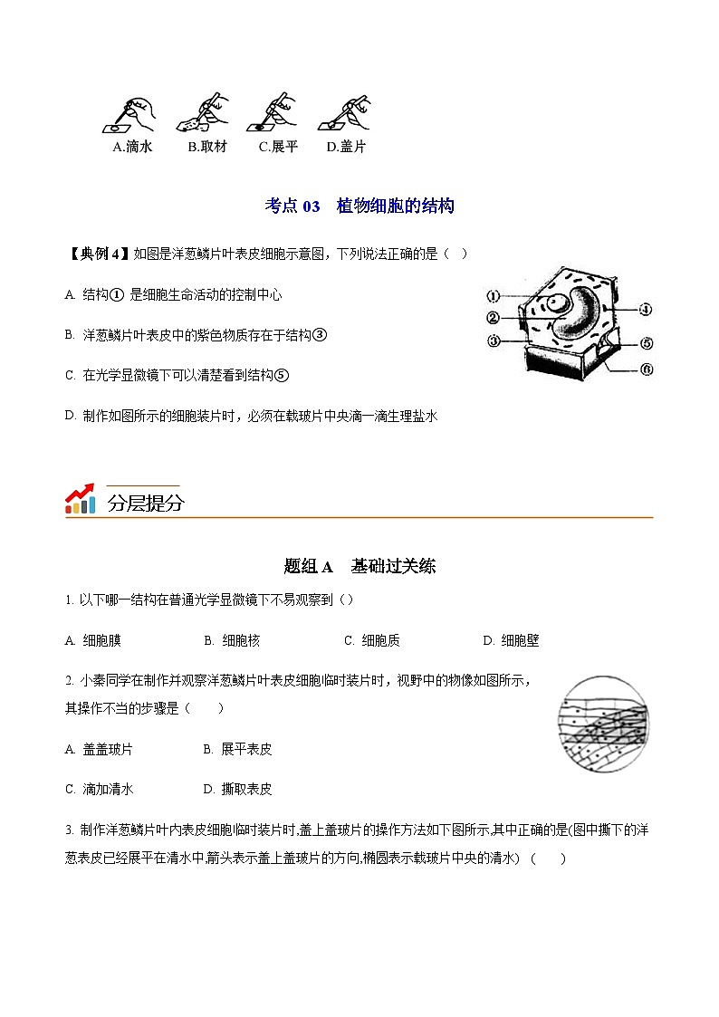 七年级上学期生物考点突然与提分——植物细胞练习题（含答案）第3页