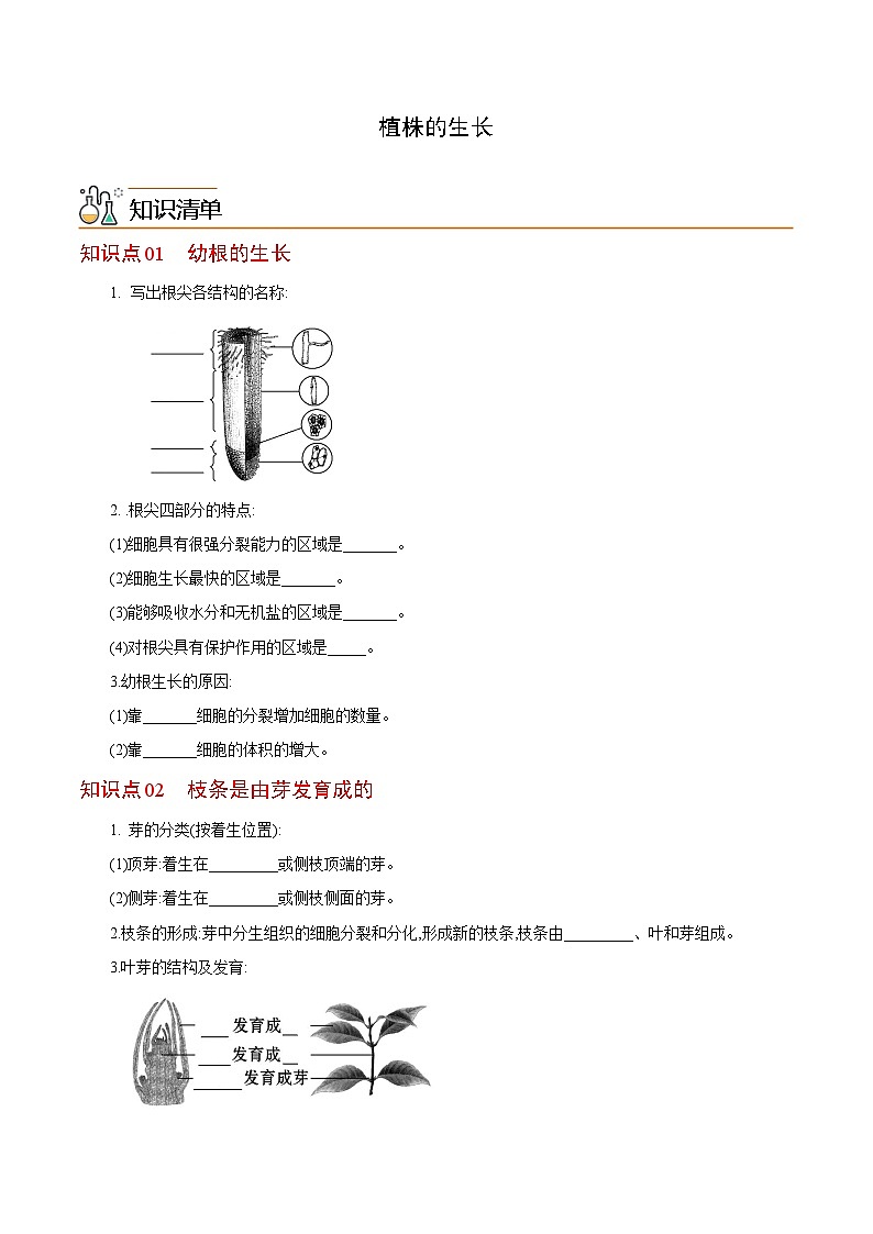 七年级上学期生物考点突然与提分——植株的生长练习题（含答案）第1页