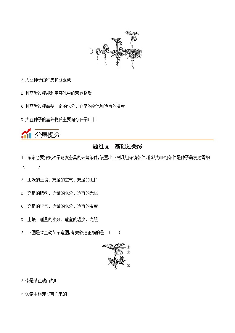 七年级上学期生物考点突然与提分——种子的萌发练习题（含答案）第3页