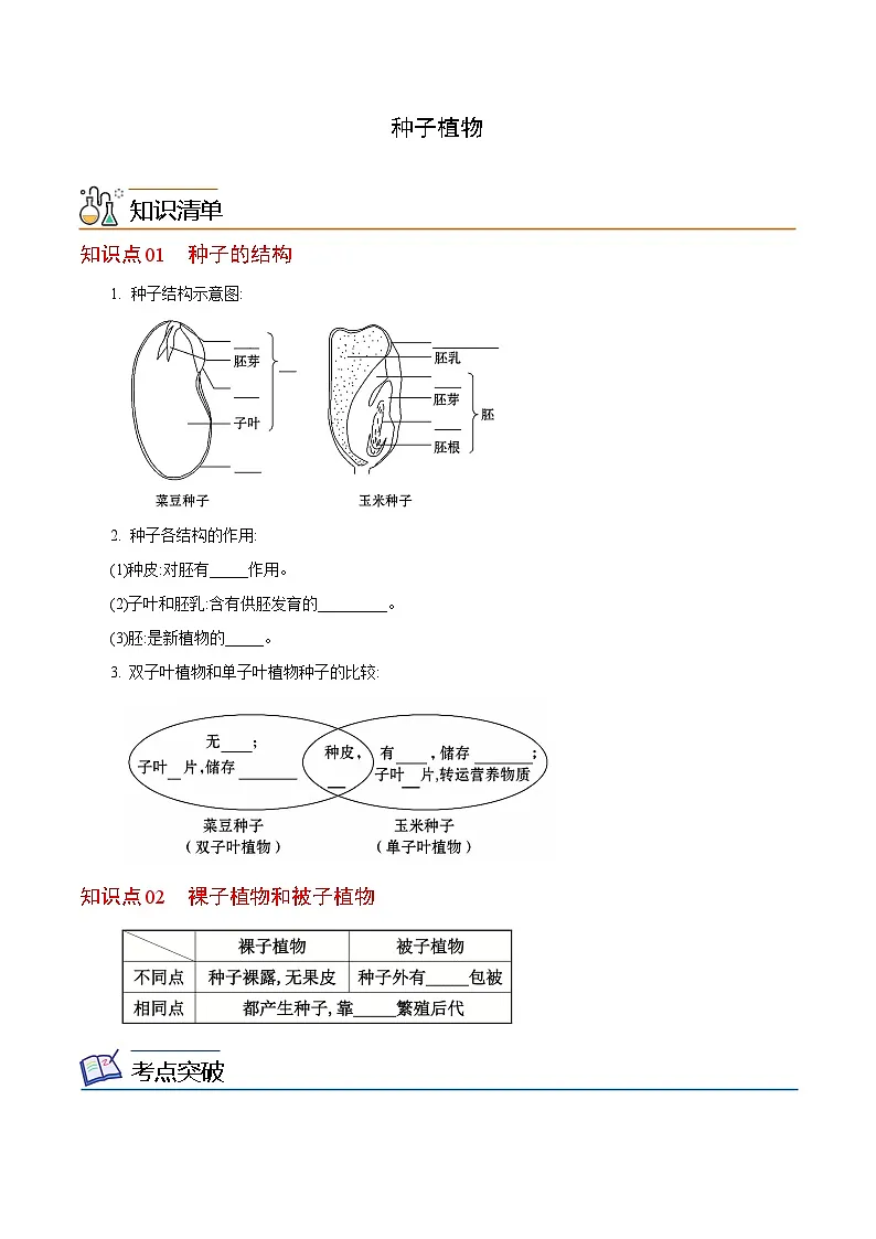 七年级上学期生物考点突然与提分——种子植物练习题（含答案）第1页