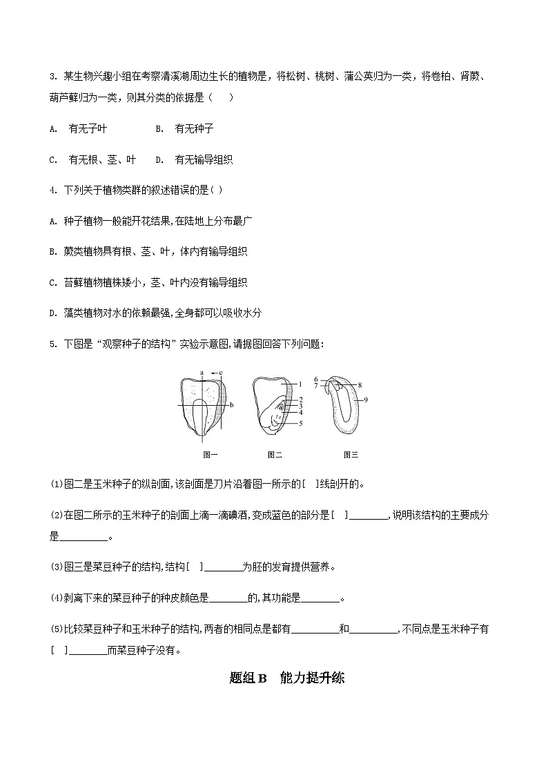 七年级上学期生物考点突然与提分——种子植物练习题（含答案）第3页