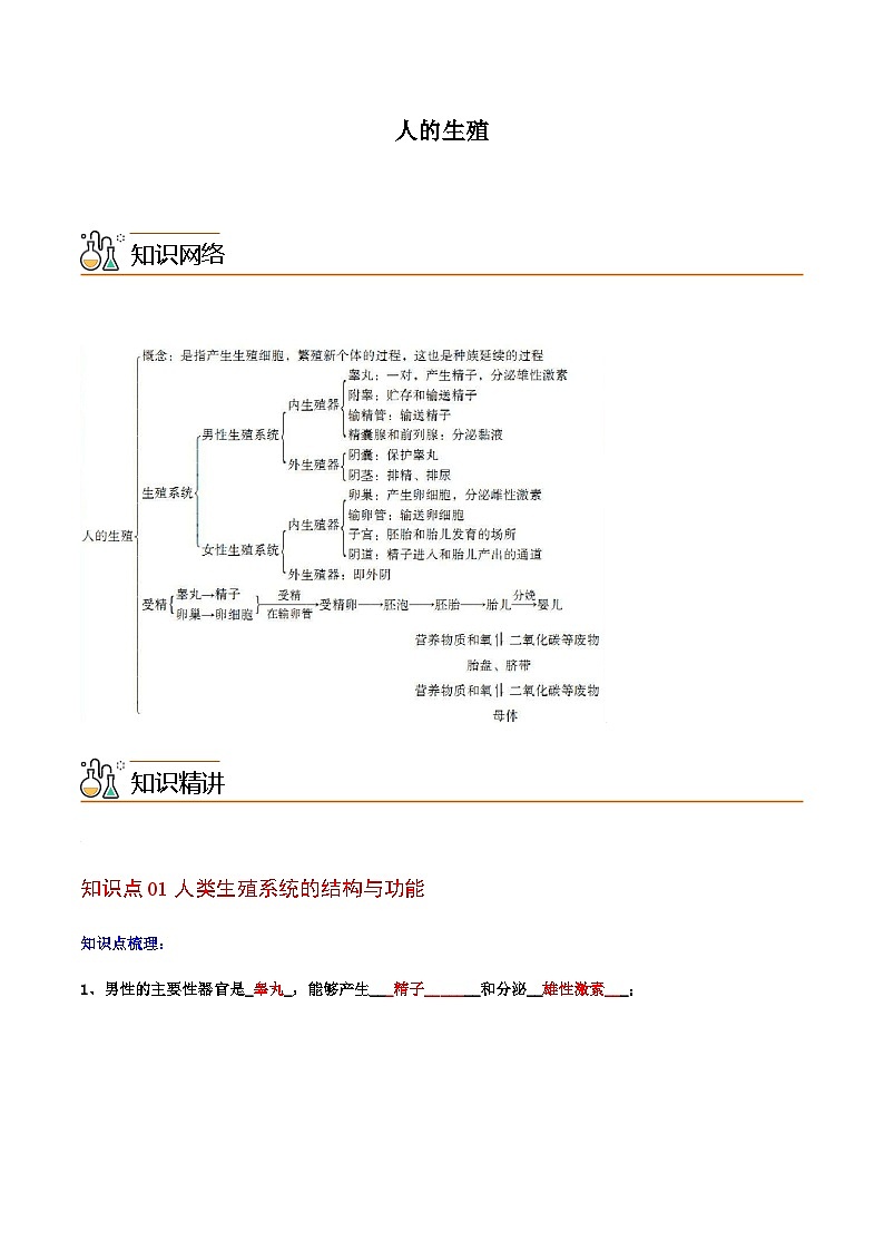 七年级下学期生物考点突然与提分——人的生殖练习题（含答案）第1页