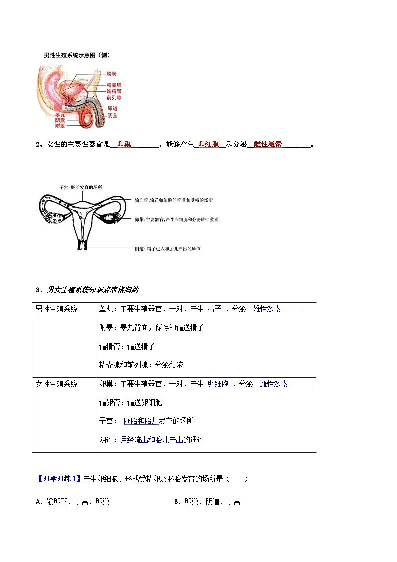 七年级下学期生物考点突然与提分——人的生殖练习题（含答案）第2页