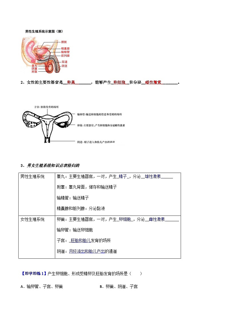 七年级下学期生物考点突然与提分——人的生殖练习题（含答案）第2页