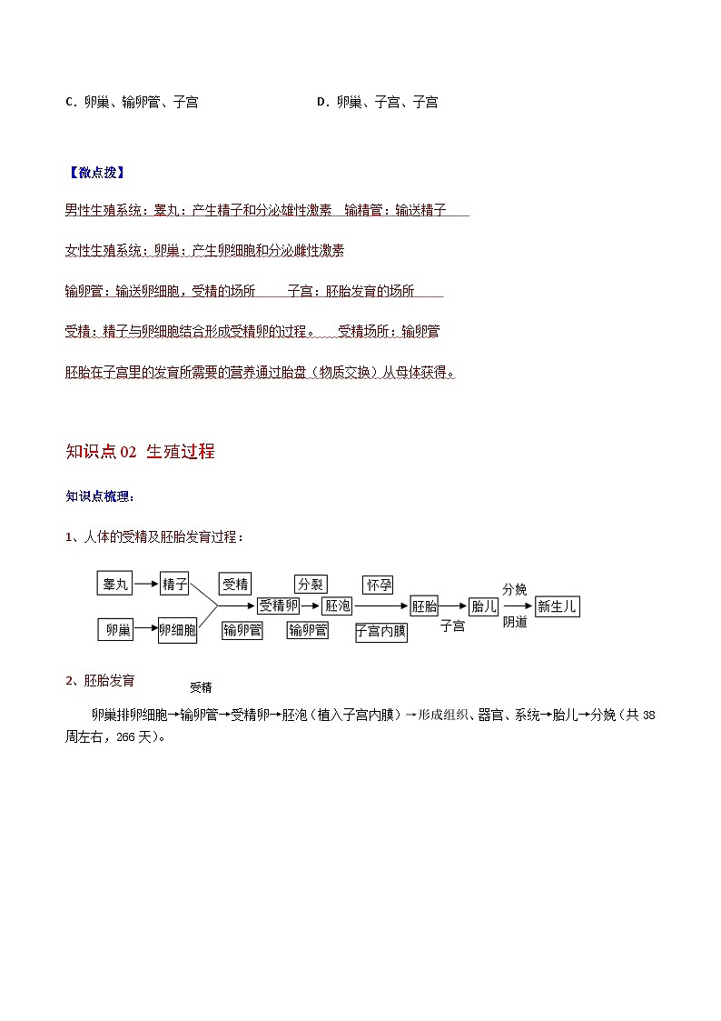 七年级下学期生物考点突然与提分——人的生殖练习题（含答案）第3页