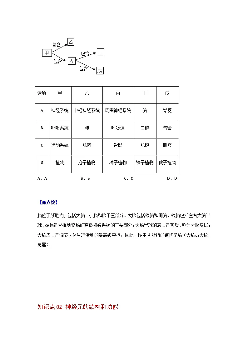 七年级下学期生物考点突然与提分——神经系统的组成练习题（含答案）第3页