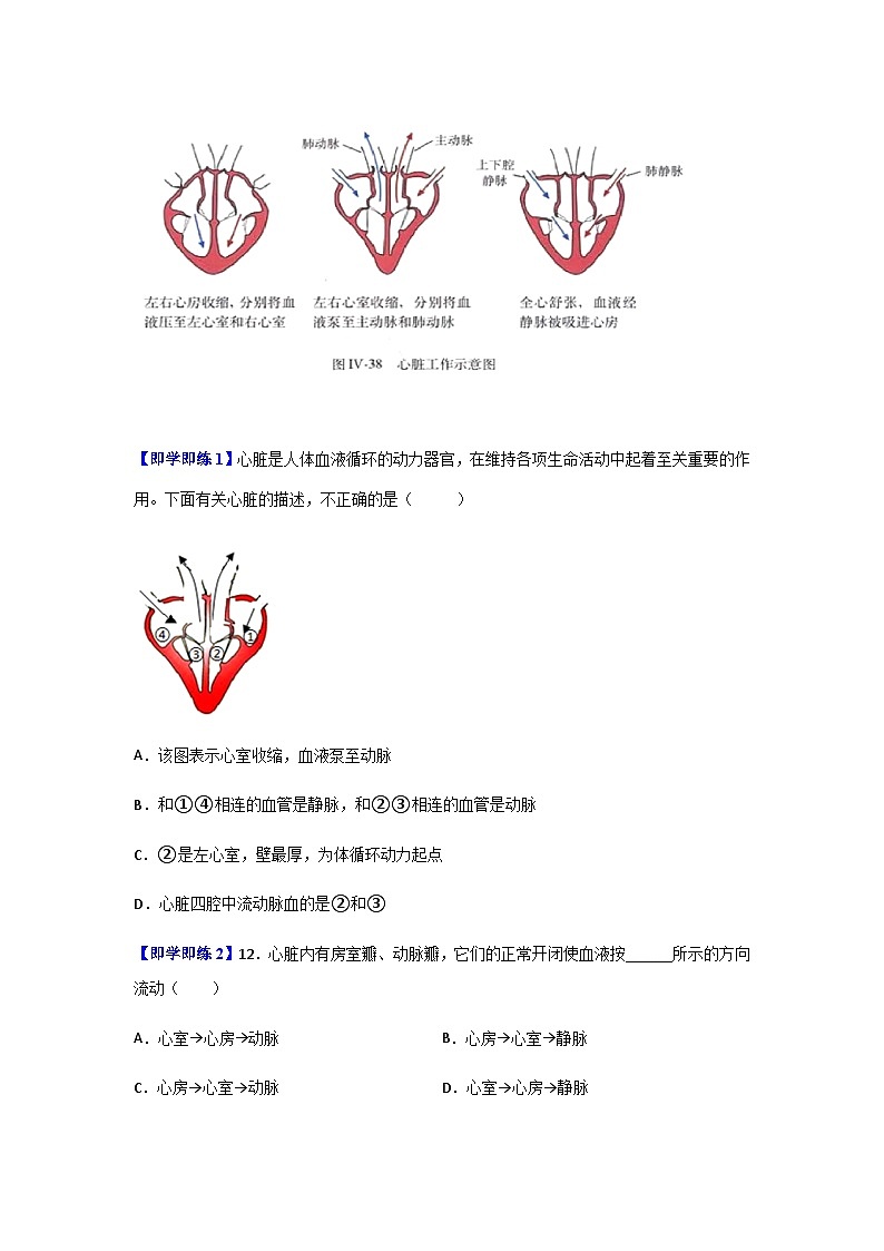 七年级下学期生物考点突然与提分——输送血液的泵练习题（含答案）第2页