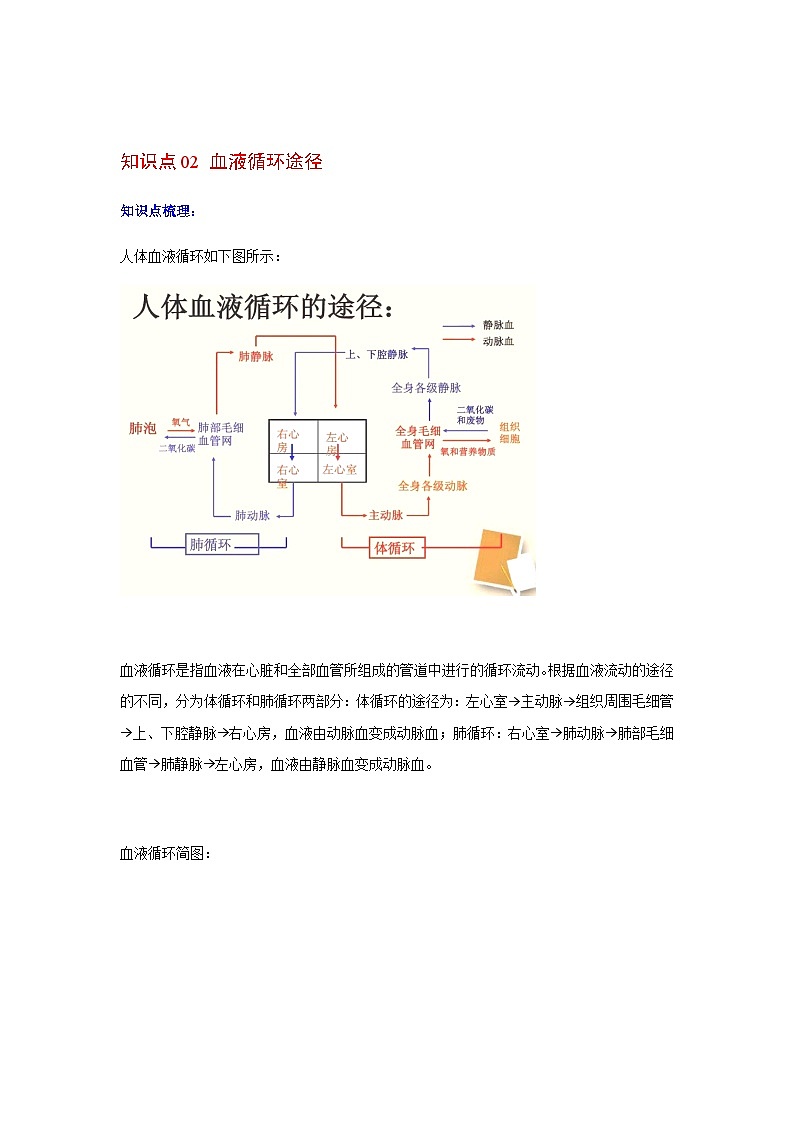 七年级下学期生物考点突然与提分——输送血液的泵练习题（含答案）第3页
