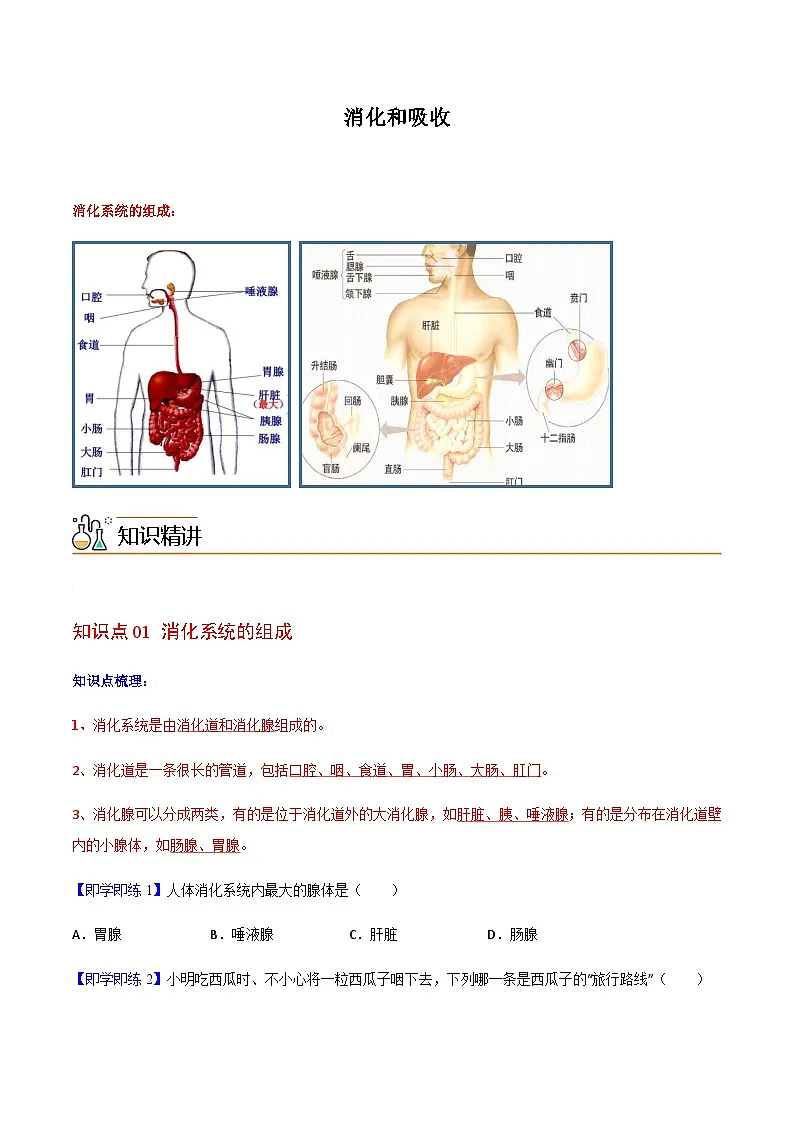 七年级下学期生物考点突然与提分——消化和吸收练习题（含答案 ）第1页