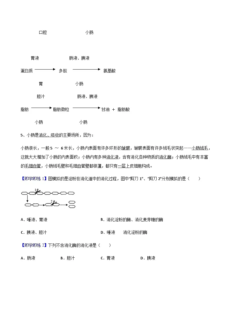 七年级下学期生物考点突然与提分——消化和吸收练习题（含答案 ）第3页