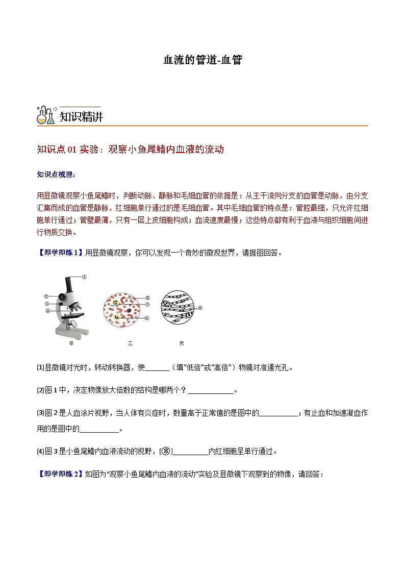 七年级下学期生物考点突然与提分——血流的管道练习题（含答案）第1页