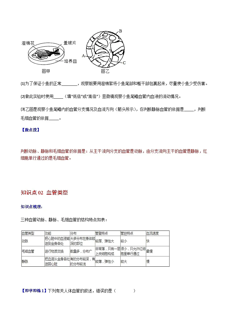 七年级下学期生物考点突然与提分——血流的管道练习题（含答案）第2页
