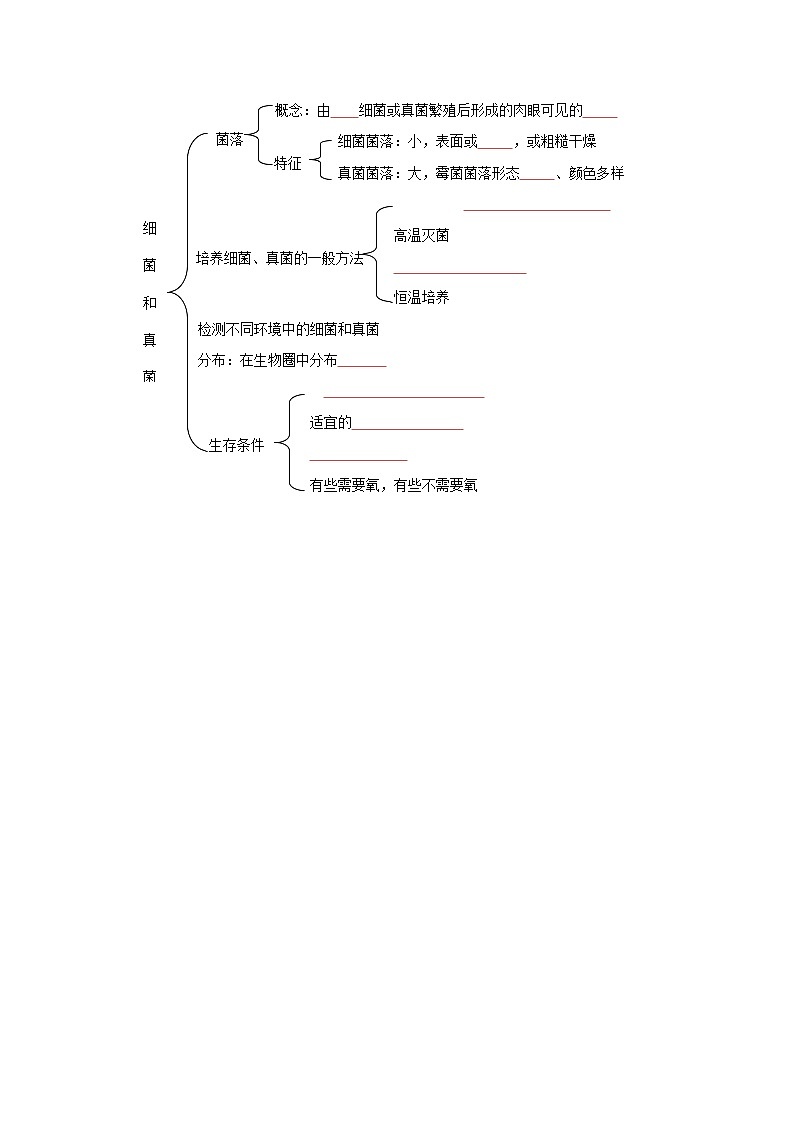 八年级上学期生物考点突然与提分——细菌和真菌的分布练习题（含答案）第3页