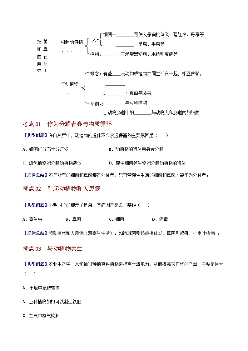 八年级上学期生物考点突然与提分——细菌和真菌在自然界中的作用练习题（含答案）第3页