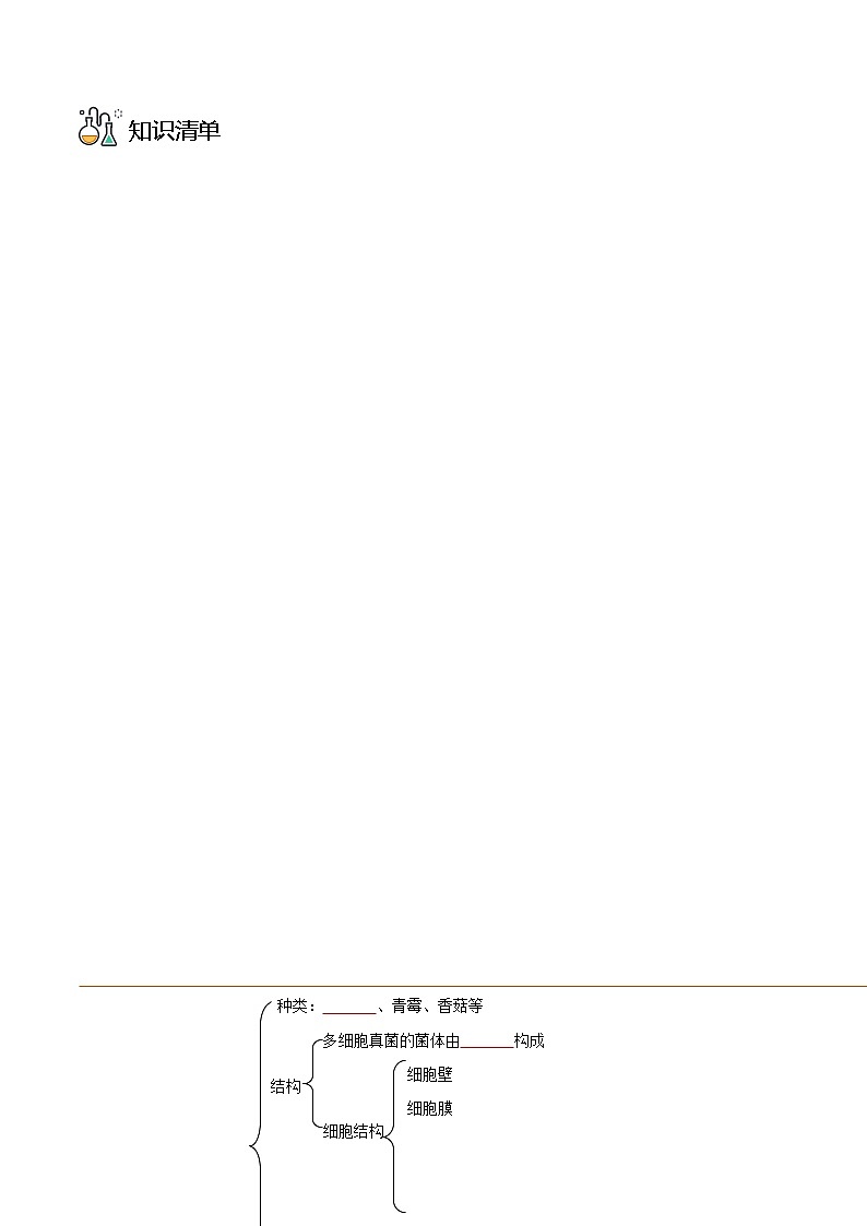 八年级上学期生物考点突然与提分——真菌练习题（含答案）第3页