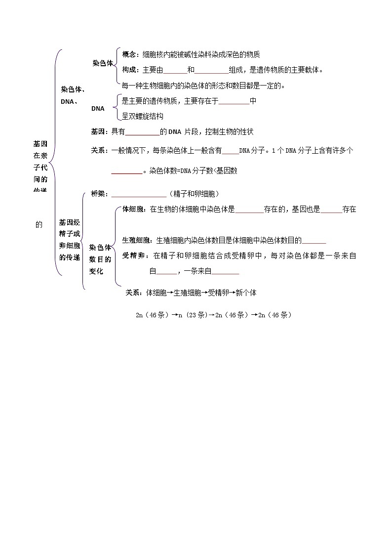 八年级下学期生物考点突然与提分——基因在亲子代间的传递练习题（含答案）第3页