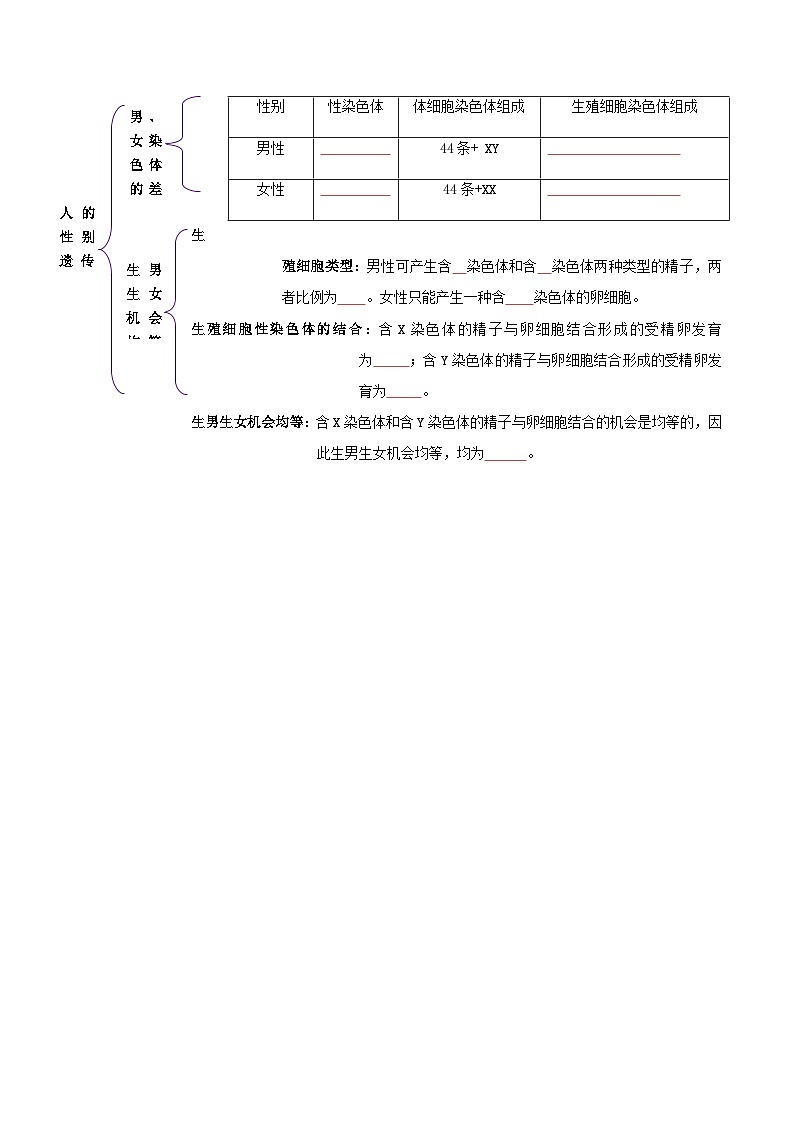 八年级下学期生物考点突然与提分——人的性别遗传练习题（含答案）第3页