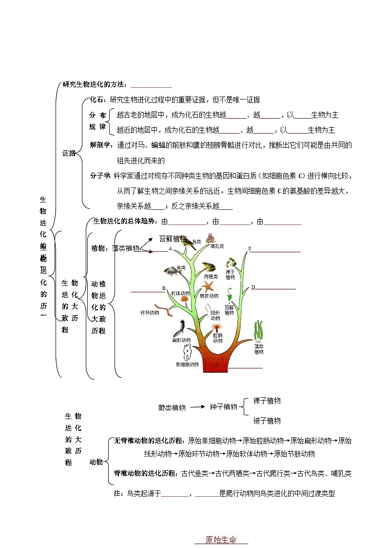 八年级下学期生物考点突然与提分——生物进化的历程练习题（含答案）第3页