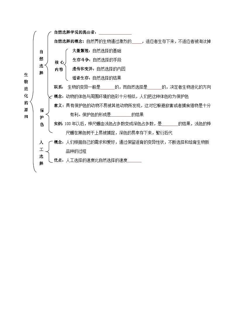 八年级下学期生物考点突然与提分——生物进化的原因练习题（含答案）第3页