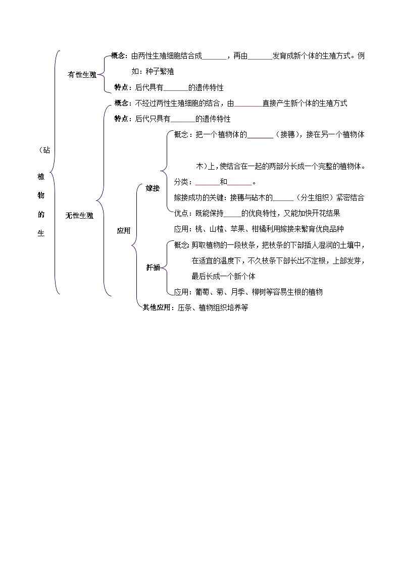 八年级下学期生物考点突然与提分——植物的生殖练习题（含答案）第3页