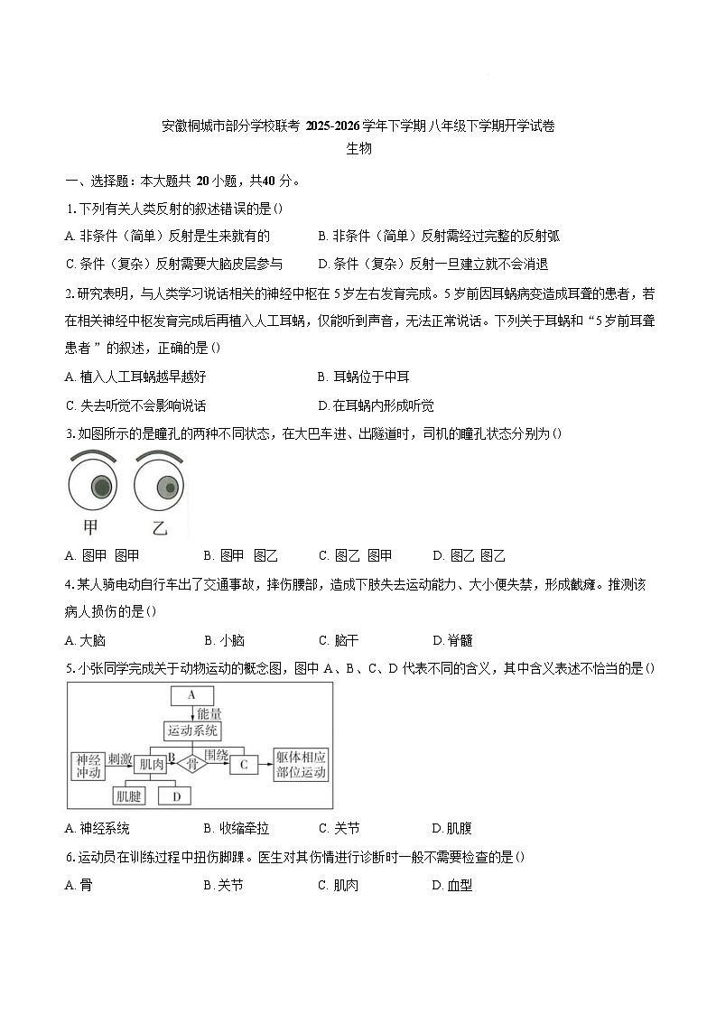 安徽省安庆市桐城市练谭初级中学等校2025-2026学年八年级下学期开学学情自测生物试题含答案第1页