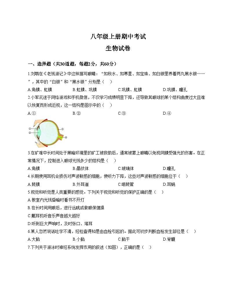 河南省郑州市二七区实验中学2025_2026学年八年级上学期11月期中生物试题（文字版，含答案）第1页
