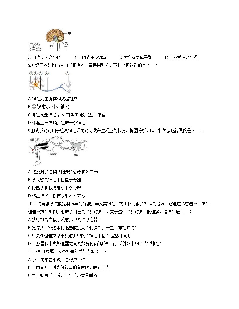 河南省郑州市二七区实验中学2025_2026学年八年级上学期11月期中生物试题（文字版，含答案）第2页