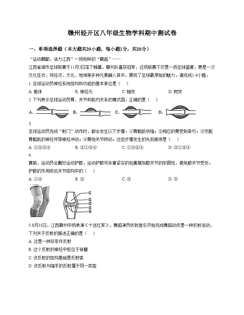 江西省赣州市经开区2025_2026学年八年级上学期期中考试生物试题（文字版，含答案）第1页