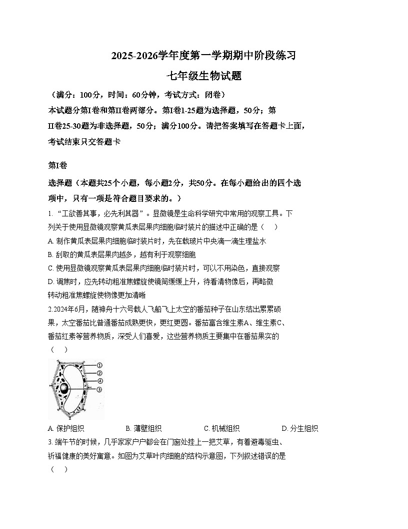 山东省济宁市汶上县2025_2026学年七年级上学期期中考试生物试题（文字版，含答案）第1页