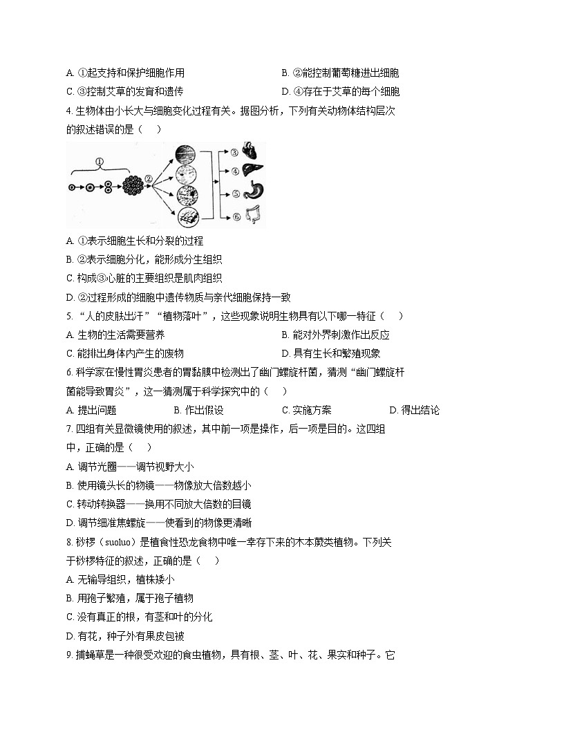 山东省济宁市汶上县2025_2026学年七年级上学期期中考试生物试题（文字版，含答案）第2页