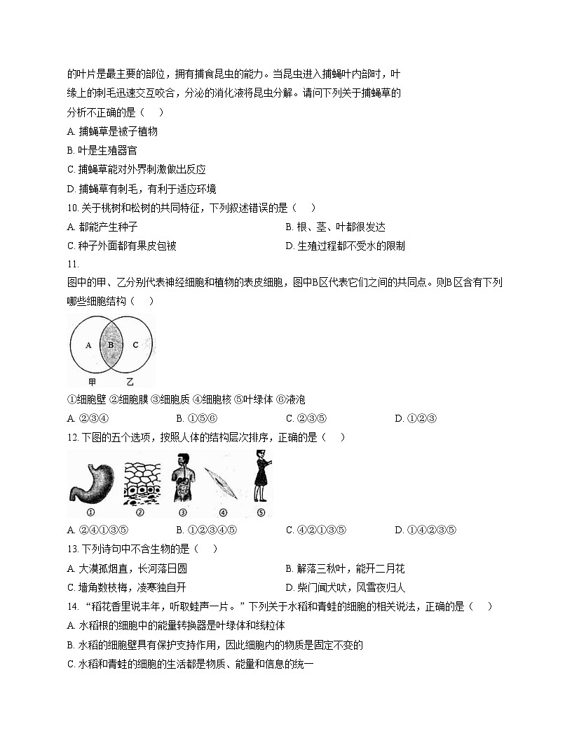 山东省济宁市汶上县2025_2026学年七年级上学期期中考试生物试题（文字版，含答案）第3页