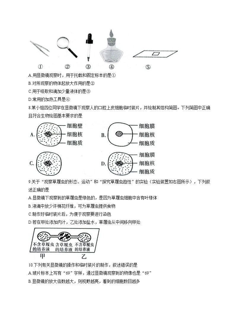 山东省菏泽市东明县2025_2026学年七年级上学期期中生物试题（文字版，含答案）第3页
