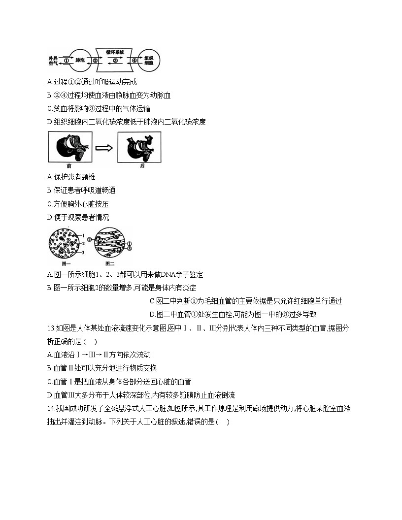 山东省德州市武城县2025_2026学年八年级上学期期中生物试题（文字版，含答案）第3页