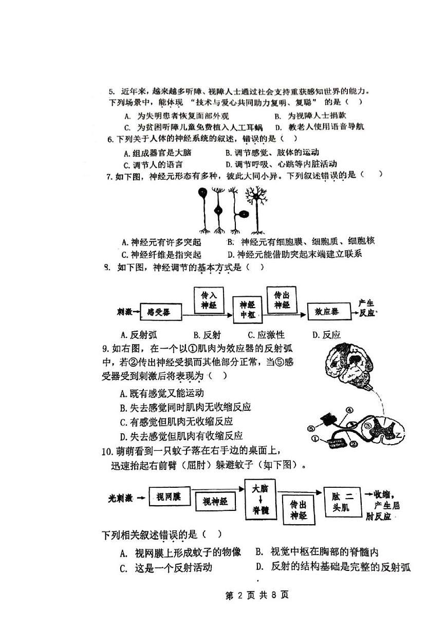 北京理工大学附属中学2025-2026学年八年级上学期11月期中考试生物试题（无答案）第2页
