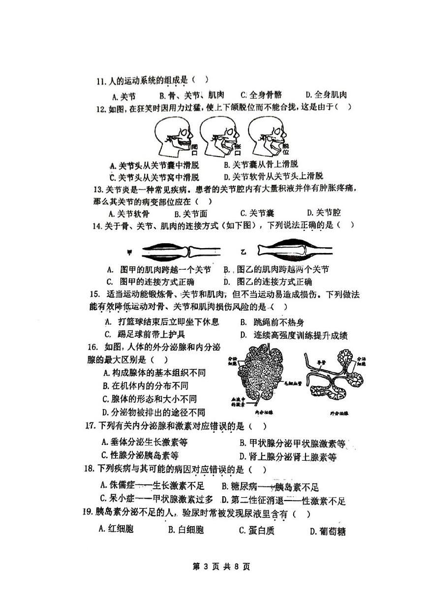 北京理工大学附属中学2025-2026学年八年级上学期11月期中考试生物试题（无答案）第3页