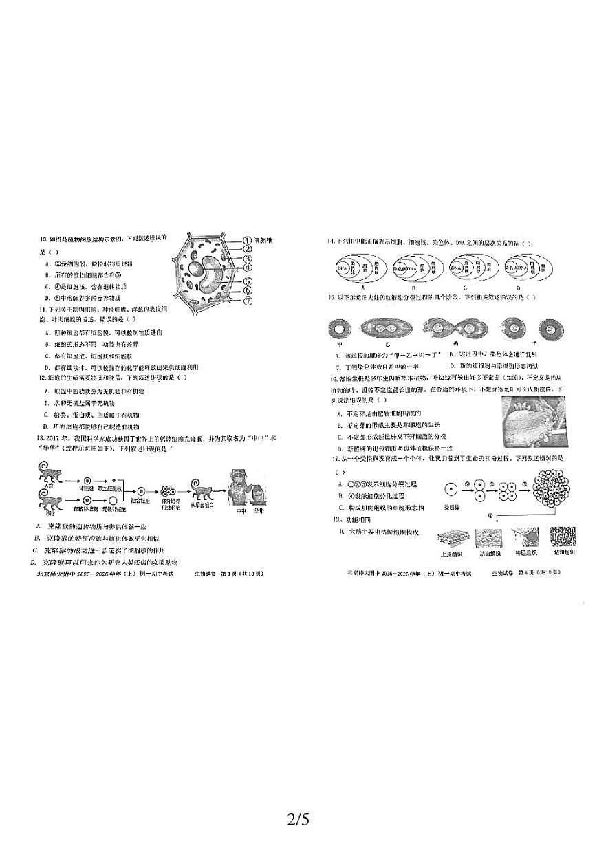 北京师范大学附属中学2025-2026学年七年级上学期期中生物试卷（无答案）第2页