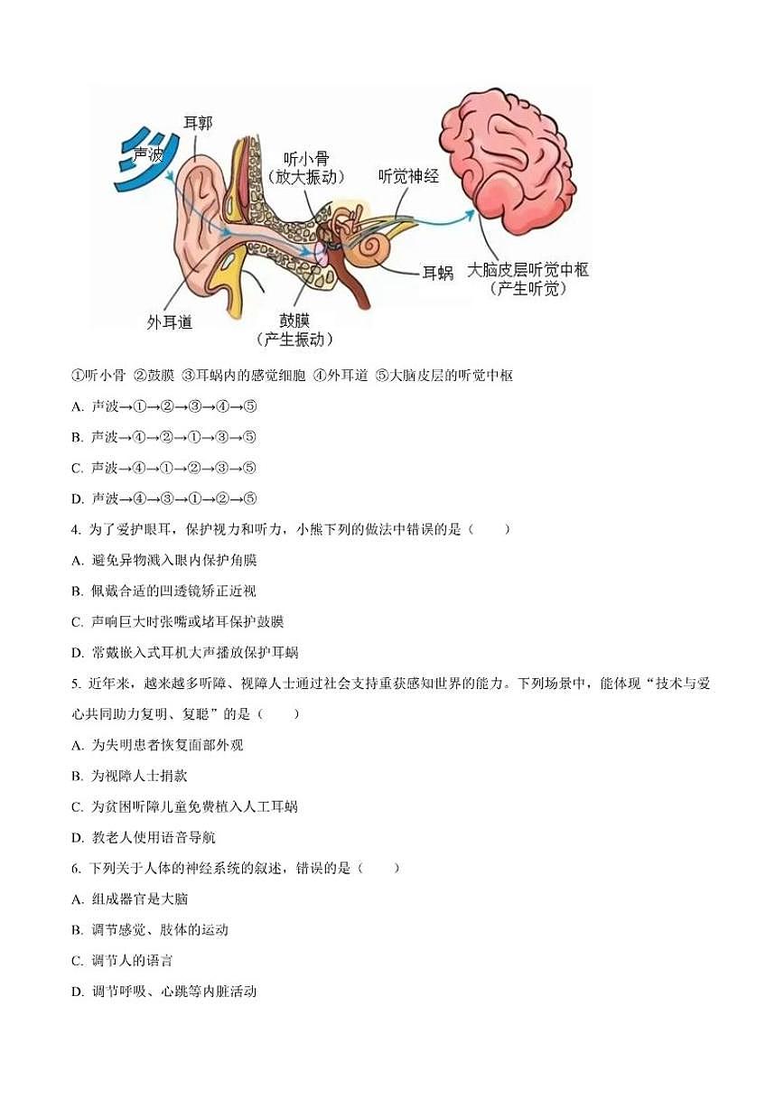 北京市北京理工大学附属中学2025-2026学年八年级上学期期中生物学试题（含答案）第2页
