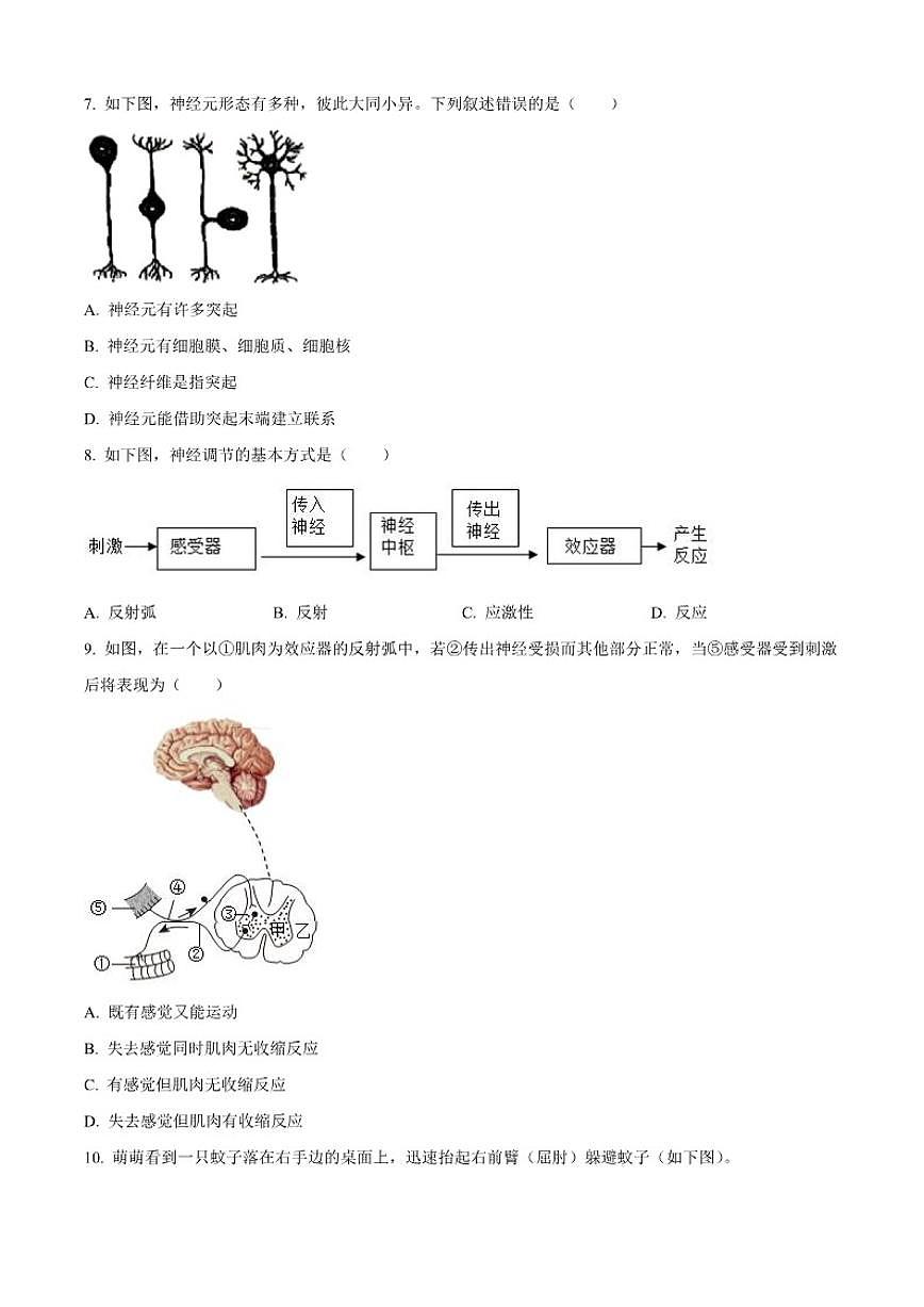 北京市北京理工大学附属中学2025-2026学年八年级上学期期中生物学试题（含答案）第3页