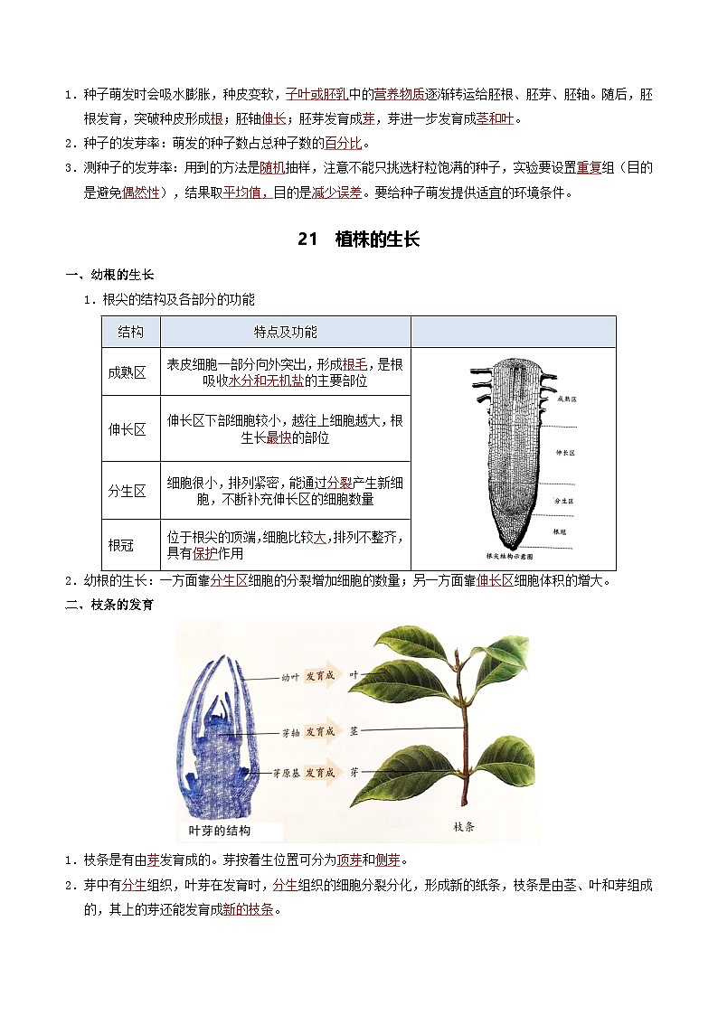 03 植物的生活-2026年中考生物知识盘点与通关测试（解析版）第2页