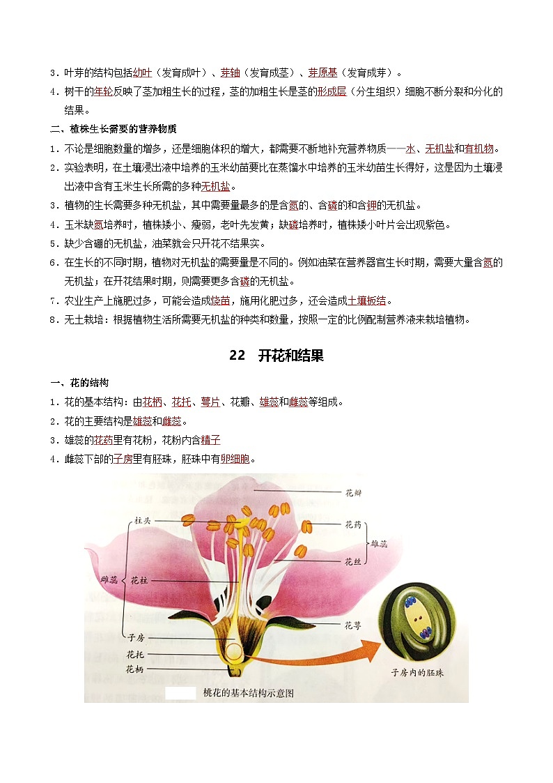 03 植物的生活-2026年中考生物知识盘点与通关测试（解析版）第3页