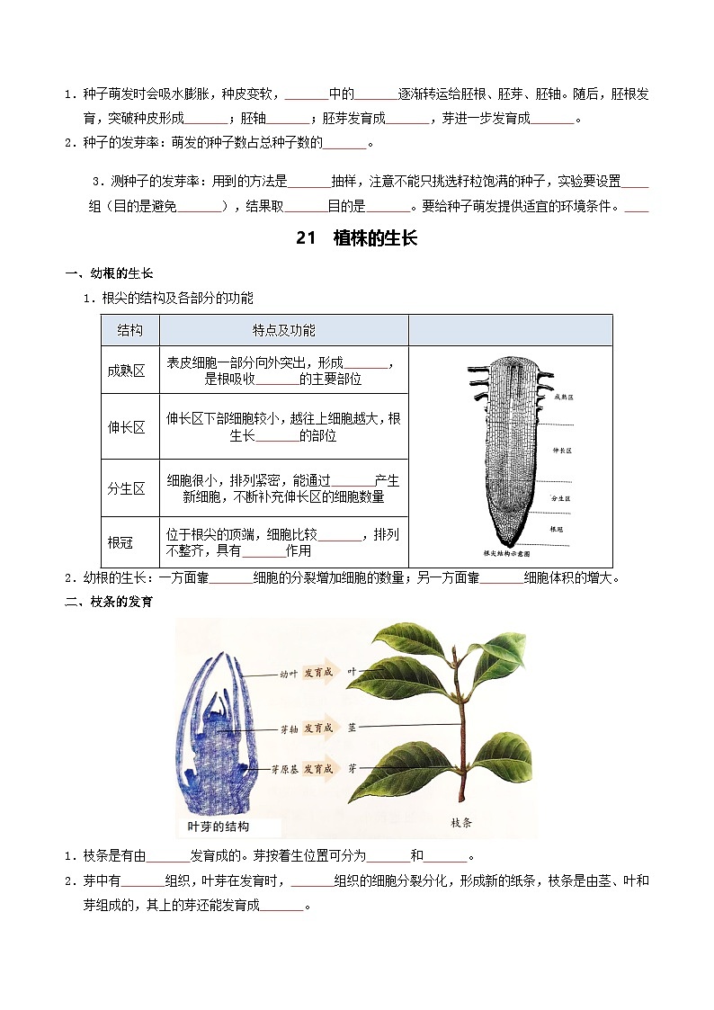 03 植物的生活-2026年中考生物知识盘点与通关测试（挖空版）第2页